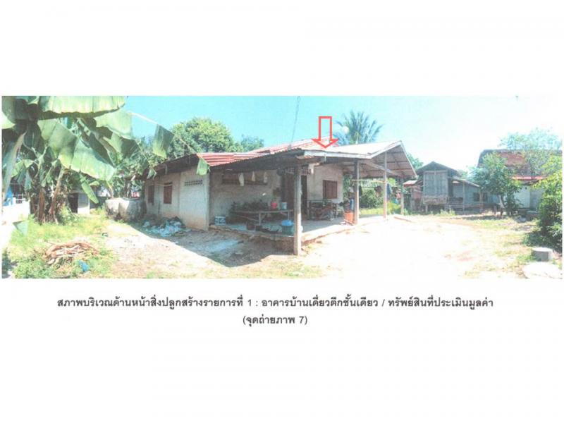 หนองบัว หนองกุงศรี กาฬสินธุ์