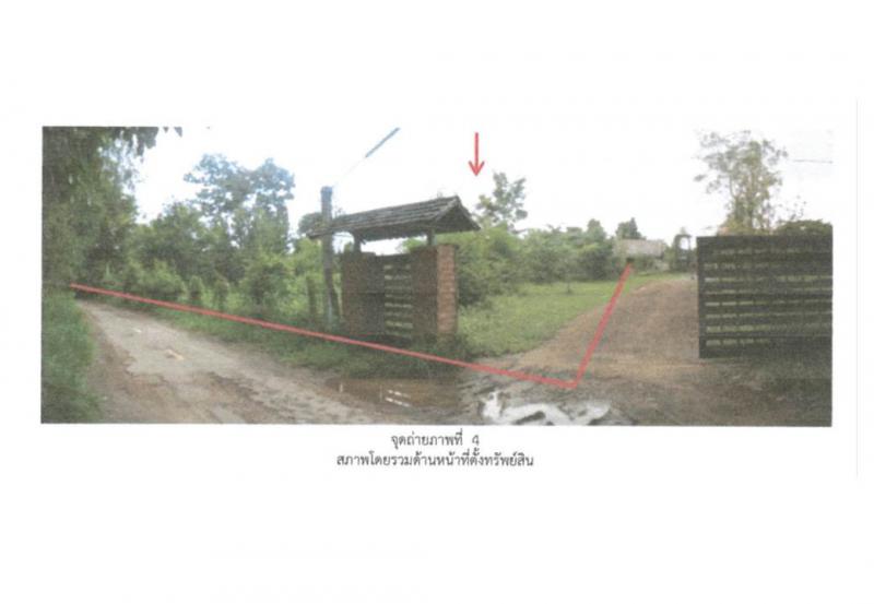 บัวขาว กุฉินารายณ์ กาฬสินธุ์