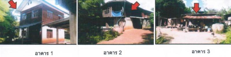 นาบอน คำม่วง กาฬสินธุ์
