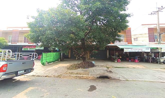 หนองกุงศรี หนองกุงศรี กาฬสินธุ์